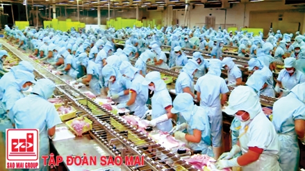 Năm 2016, doanh thu của IDI cán mốc hơn 4.000 tỉ đồng