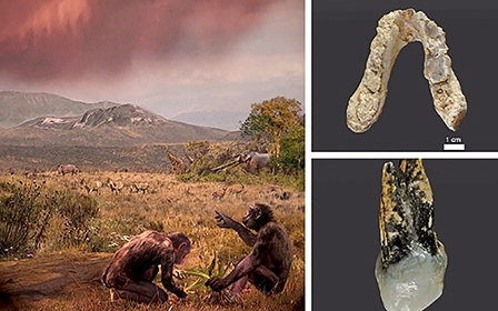 Châu Âu mới là nơi khai sinh loài người?