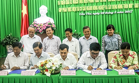 Đến năm 2020, Cần Thơ có 15 HTX kiểu mới 
trong lĩnh vực lúa gạo, trái cây và thủy sản