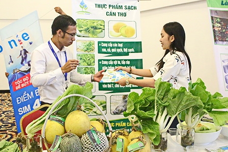 Phát triển doanh nghiệp chú trọng số lượng và chất lượng