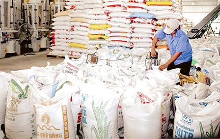 Thị trường xuất khẩu gạo sôi động trở lại