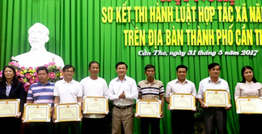 Mỗi quận, huyện xây dựng 1 mô hình hợp tác xã kiểu mới tiêu biểu