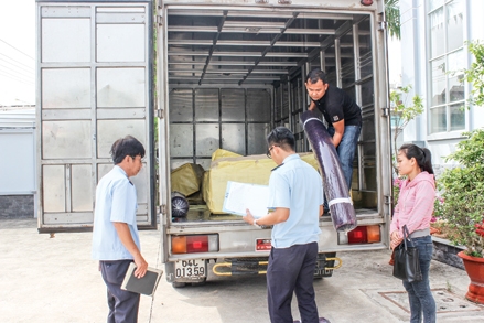 Cải cách hiện đại hóa