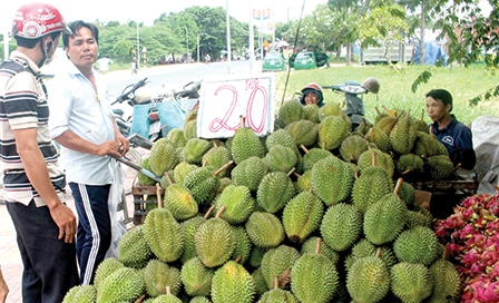 Rộ mùa, giá nhiều loại trái cây 
giảm mạnh