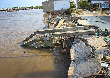 Cà Mau mất hàng trăm ha đất ven biển mỗi năm do biến đổi khí hậu