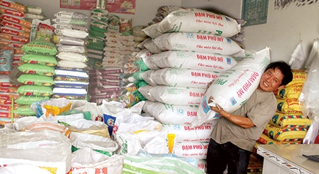 Nguồn cung dồi dào, giá giảm