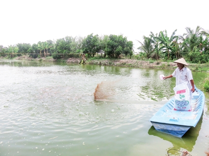 Thu nhập hơn 400 triệu đồng mỗi năm từ mô hình ương cá bột