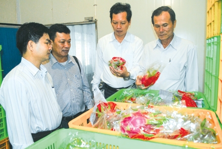 Điểm nhấn của mô hình 
kinh tế hợp tác