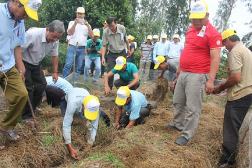 Ra quân phòng trừ chuột hại cây trồng