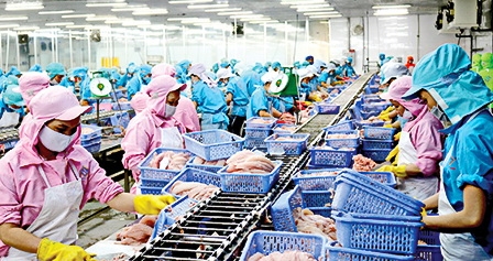 Hỗ trợ doanh nghiệp lựa chọn giải pháp tiết kiệm năng lượng tối ưu