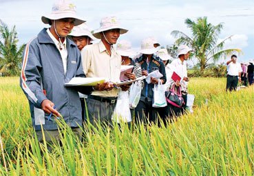 ប្រឡងប្រណាំងគឺស្នេហាជាតិ