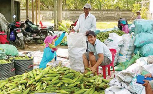 អនុវត្តវិទ្យាសាស្រ្តបច្ចេកទេសក្នុងការផលិត