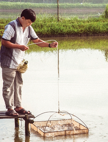 Tìm mối liên kết hiệu quả và bền vững 
cho ngành tôm