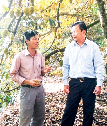 Được mùa, được giá!