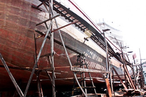 Ngư dân an tâm bám biển