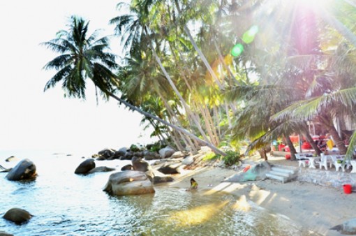 Đảo dừa biển xanh