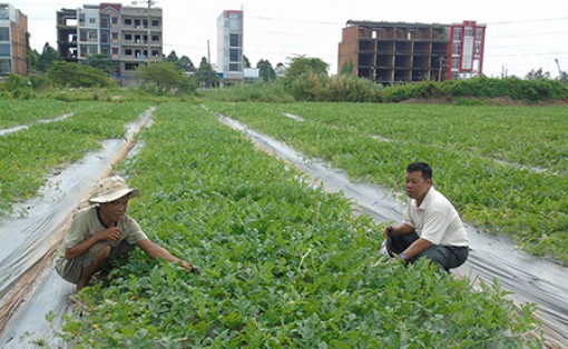 Thiết thực chăm lo đời sống nhân dân