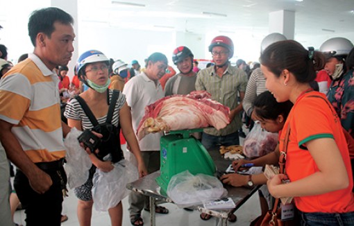 Kết nối CUNG-CẦU hỗ trợ người chăn nuôi heo