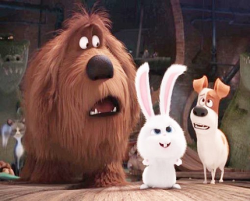 Độc và lạ Đẳng cấp thú cưng