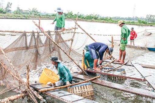 Yêu cầu nâng cao 
chất lượng hàng 
xuất khẩu