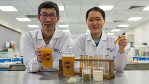Sản xuất bia chứa probiotic tốt cho sức khỏe