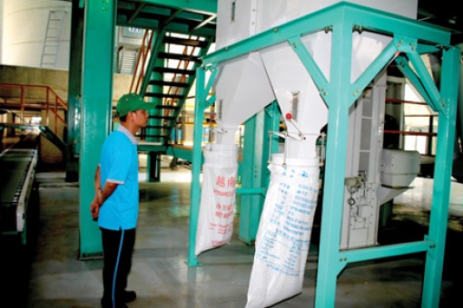 Xuất khẩu khởi sắc, nhưng vẫn còn thách thức