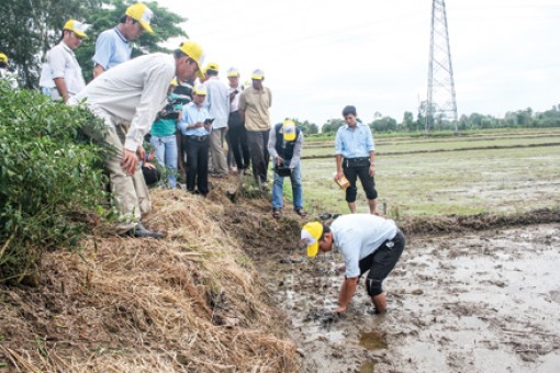Cần chủ động ứng phó với thời tiết, dịch hại