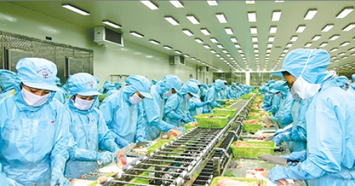 Nâng cao chất lượng 
để vượt qua rào cản