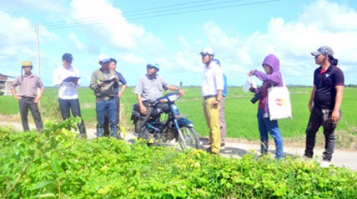 Tiếp tục tài trợ kinh phí xây cầu nông thôn tại ĐBSCL