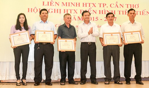 Mỗi quận, huyện xây dựng 1 mô hình HTX kiểu mới