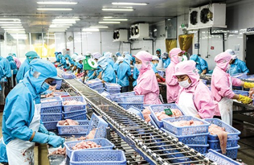 Giải pháp tiết kiệm năng lượng cho doanh nghiệp thủy sản