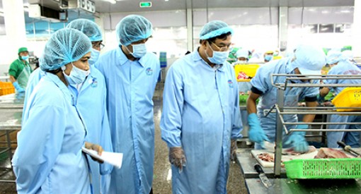 Phát triển mô hình nuôi cá tra sạch 
kết hợp phục vụ du lịch tại TP Cần Thơ