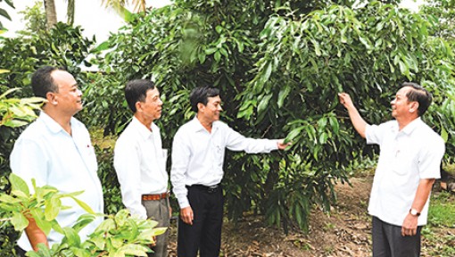 Tập trung xây dựng Định Môn đạt chuẩn nông thôn mới vào cuối năm 2017