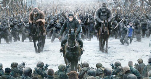 Khúc tráng ca của loài khỉ