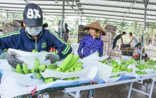Thời cơ đón sóng đầu tư mới