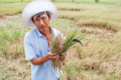 Giữ chân lao động nông nghiệp...