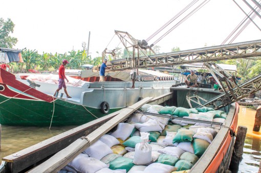 Thực hiện nhiều giải pháp thúc đẩy phát triển kinh tế