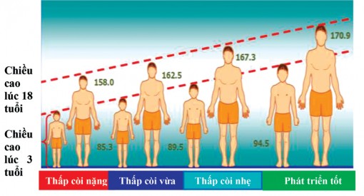 Tình thương cũng cần sự thông thái