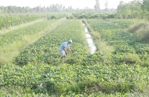 ផ្សព្វ​ផ្សាយ​ទម្រង់​រូប​ភាព​ផលិត​កម្ម