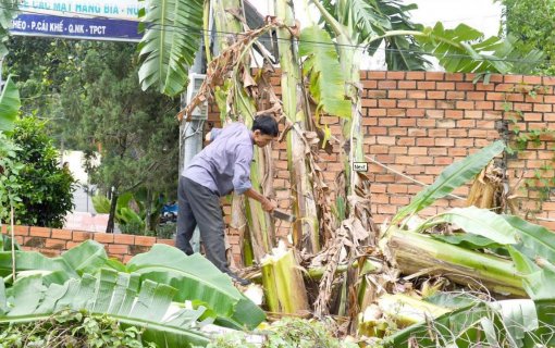 Các bệnh viện tăng cường công tác khám và điều trị sốt xuất huyết