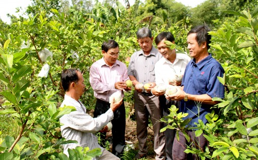 Tham gia xây dựng nông thôn mới, đô thị văn minh