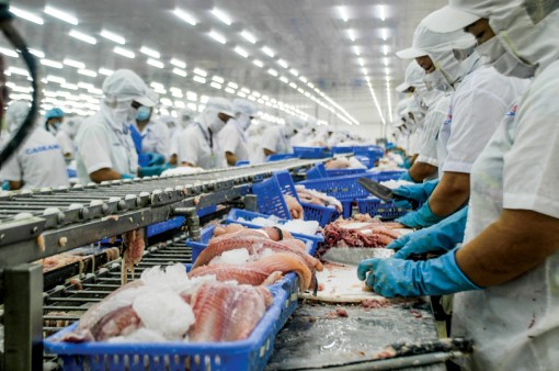 Giành lại thế chủ động trên thị trường