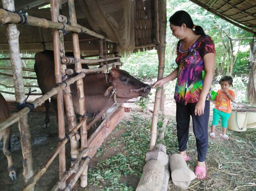 ទម្រង់រូបភាពកាត់បន្ថយភាពក្រីក្រដោយចីរភាព