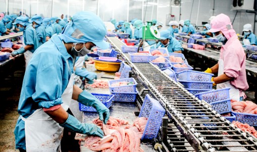 Nhiều mô hình nông nghiệp thu nhập cao