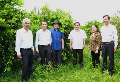 Bí thư Thành ủy làm việc với Đảng ủy xã Trường Long