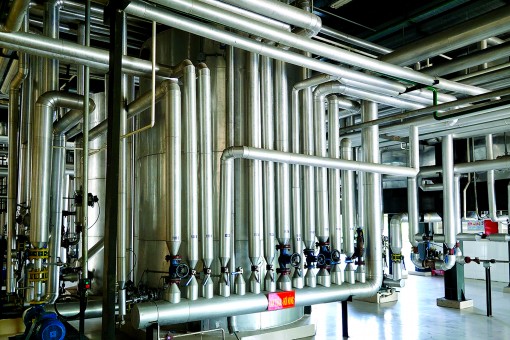 Nâng niu chăm sóc bữa ăn