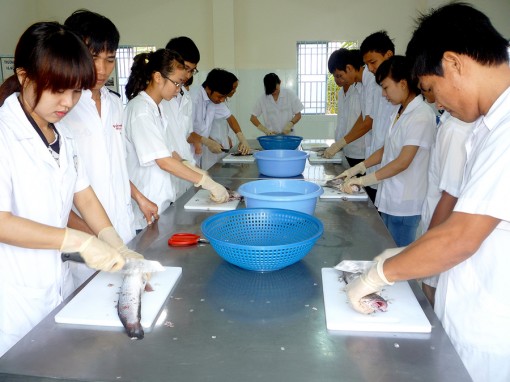 Chuẩn bị nguồn lực, đáp ứng yêu cầu đổi mới