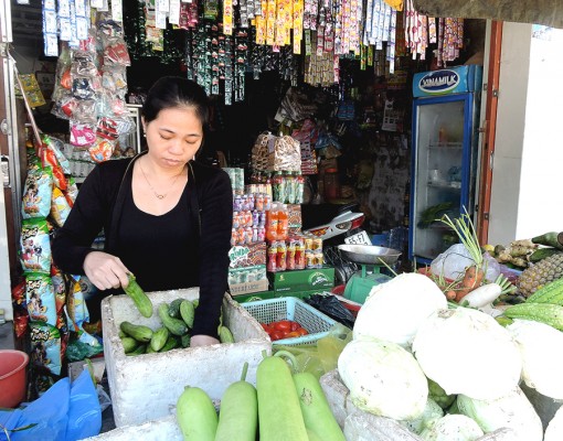 Nguồn vốn địa phương tiếp sức tín dụng ưu đãi