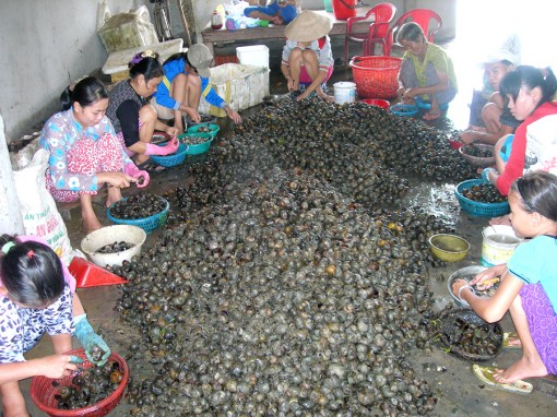 An toàn sản xuất, đánh bắt thủy sản mùa nước lũ