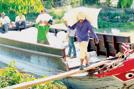 An ninh lương thực nhìn từ góc độ thích ứng với biến đổi khí hậu